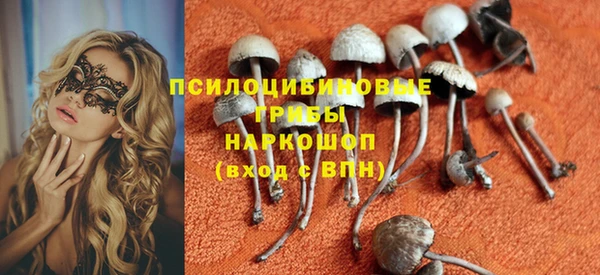 ГАЛЛЮЦИНОГЕННЫЕ ГРИБЫ Зеленокумск