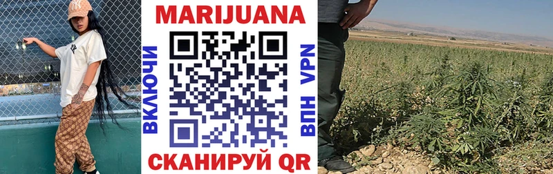 закладка Жиздра Канабис SATIVA & INDICA